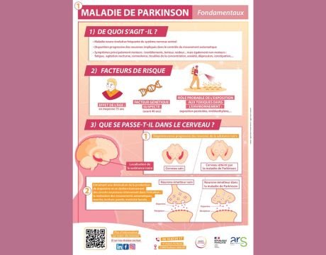Parkinson fondamentaux  mnd fiche pratique 