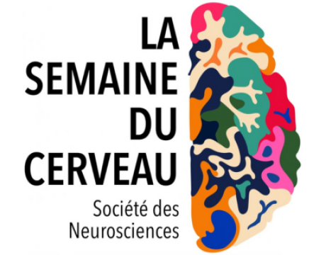 La semaine du cerveau