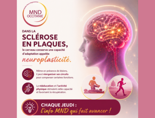 SEP INFO DU JEUDI MND 
